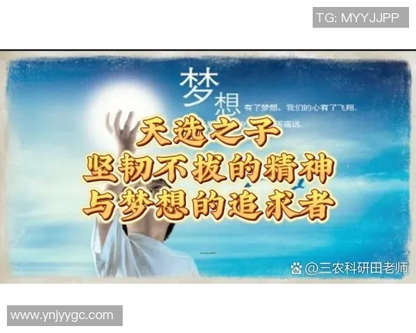 追逐梦想的脚步足球明星们的励志传奇与奋斗故事